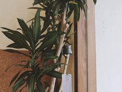 -Radar Coffee(思南路店)