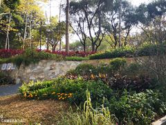 -莲花山公园