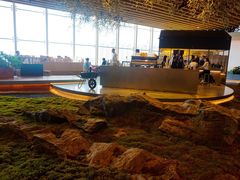 -Seesaw Coffee(朝阳大悦城店)