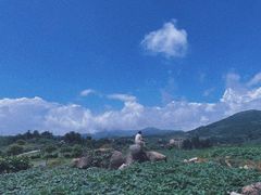 -大姆山草场