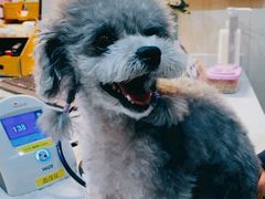 -美联众合动物医院·24h京西诊疗中心