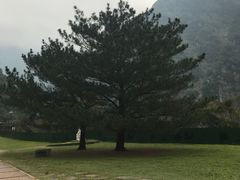 -太鲁阁公园