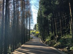 -山王坪喀斯特国家生态公园