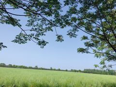 -汉长安城未央宫国家考古遗址公园