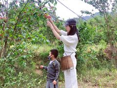 -樱桃山旅游景区