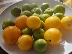 -四姑娘山阿巴郎·藏式花园餐厅