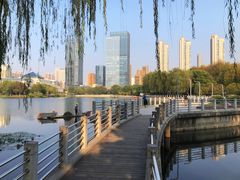 -后襄河公园