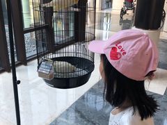 -上海崇明金茂凯悦酒店