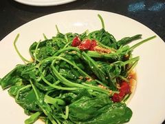 -佬肥猫(七宝宝龙店)