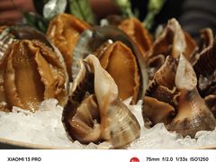 -Mr·Fish鱼鲜生海鲜放题(银泰in99店)