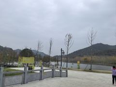 -千年银杏谷文化旅游区
