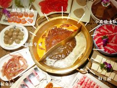 -小龙坎老火锅(鹤伴一路店)