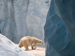 -珠海长隆海洋王国