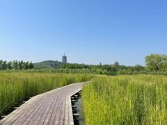 -永定河休闲森林公园