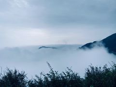 -白草畔自然风景区