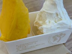 -野人先生Gelato(上海长宁龙之梦店)