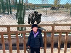 -鄂尔多斯野生动物园