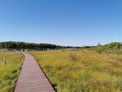 -塞罕坝国家级自然保护区