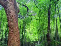 -宝岩生态观光园