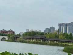 -眉山湿地公园(东坡区)