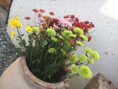 -云里小坐·小院里·团建·宴请·下午茶(三圣乡店)