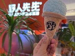 -野人先生现做冰淇淋(北京王府井东方新天地店)