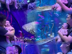 -沈阳海洋探索中心