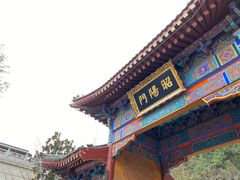 -华清宫景区