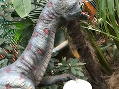 -呀路古热带植物园-恐龙馆