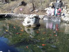 -大连天门山国家森林公园