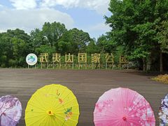 -九曲溪