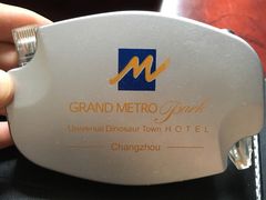 -常州环球恐龙城维景国际大酒店