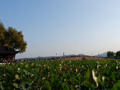 -北山街历史文化街区