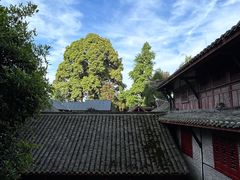 -青城山