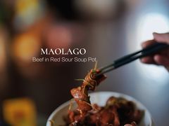 -毛辣果·酸(OHA复兴西路店)