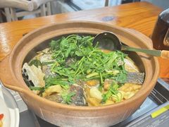 -九道菜有鸡鱼头(石鼓路店)