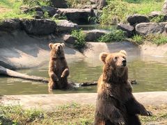 -宁波野生动物园