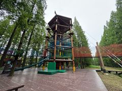 -黄海国家森林公园