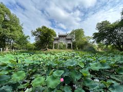 -西溪国家湿地公园