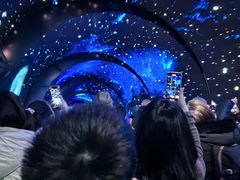 -吉林市博物馆