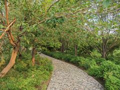 -淇河国家湿地公园