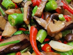 邛海荞巴菌-礼州土碗菜