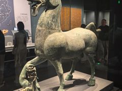 -广西壮族自治区博物馆