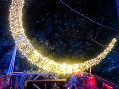-花博汇(知音花月夜)