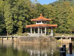 -深圳仙湖植物园