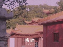-深圳市中科院仙湖植物园