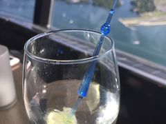 -加拿大国家电视塔