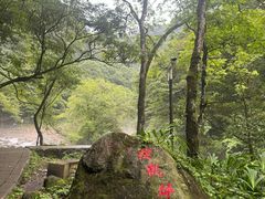 -西岭雪山大飞水景区