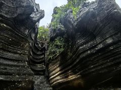 -梭布垭石林景区