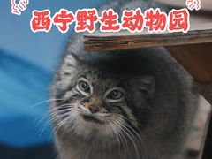 -青藏高原野生动物园